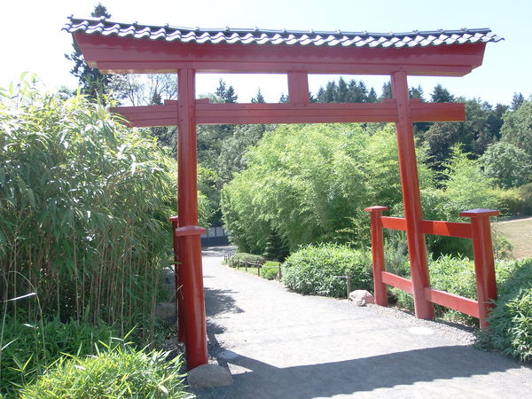 Photographie Parc oriental de Maulévrier.