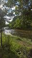 Saintaubindeluigne port paty 2017 4202.jpg