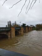 Chateauneuf 20260215 18.jpg