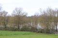 Layon crue thouarce 2020 7817.JPG
