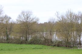 Layon crue thouarce 2020 7817.JPG
