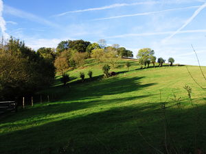 Photographie d'un paysage entre Chalonnes-sur-Loire et Montjean-sur-Loire.