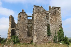 Photographie des ruines du château.