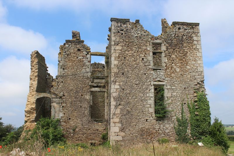 Fichier:Le longeron château de la Gimonière-2021-9353.JPG