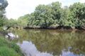 Louet chalonnessurloire 2024-0543b.JPG
