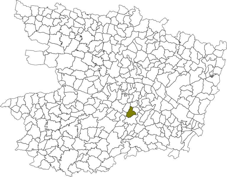 Fichier:Carte situation commune chavagnes.png