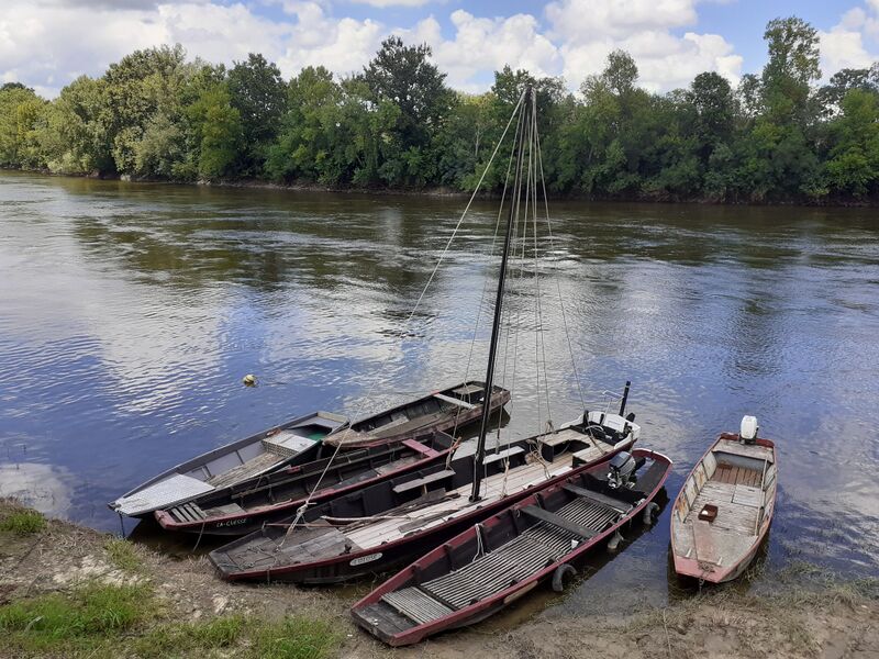 Fichier:Chalonnessurloire bateaux 2024-1503.jpg