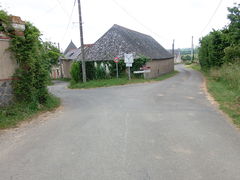 Rochefortsurloire chaume-2015i.jpg