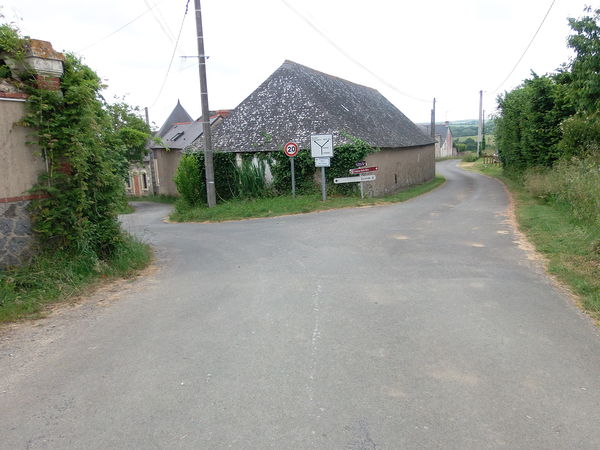 Photographie Rochefort sur Loire - Chaume.