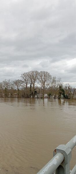 Fichier:Chalonnessurloire 20260220 03.jpg