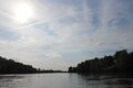 Loire chalonnes montjean 2024-0662.JPG