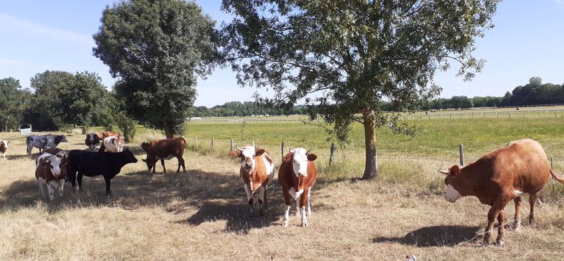 Fichier:Vallee rochefort r20-17.jpg