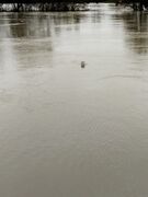 Chateauneuf 20260215 11.jpg