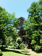 Maulevrier parc oriental -2015d.JPG