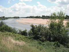 Loire montjeansurloire rivedroite 2012.jpg