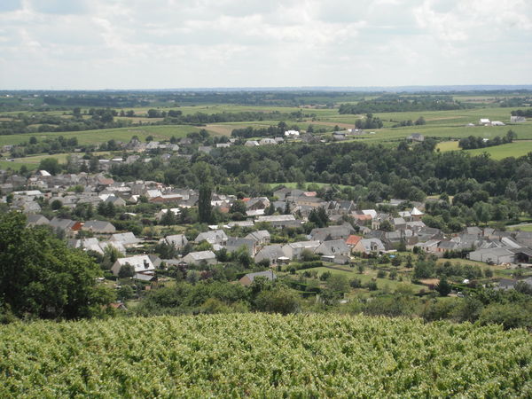 Photographie Saint-Aubin-de-Luigné.