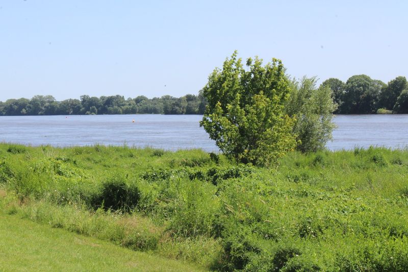 Fichier:La possonnière bords de loire 2021-9408.JPG