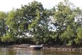 Loire chalonnes montjean 2024-0701b.JPG