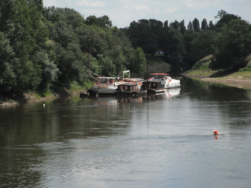 Fichier:Montjeansurloire bateaux-2012a.jpg