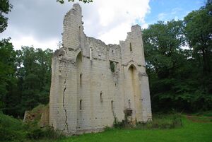 Photographie des ruines du manoir.