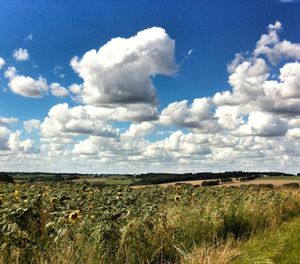 Photographie d'un paysage.