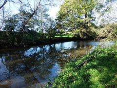 La rivière du Layon à Saint-Aubin. Plus de photos…