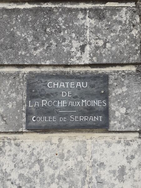 Fichier:Savennieres coulee serrant 2024-1512.jpg