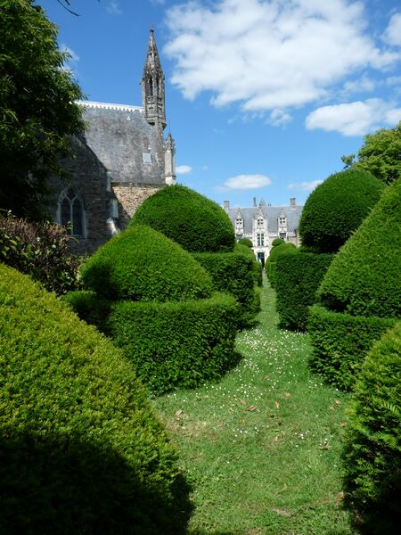 Fichier:Champtocesurloire chateau du pin 2024-13.jpg