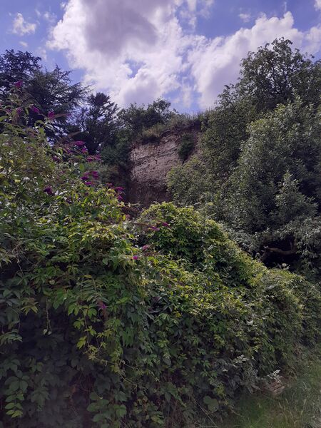 Fichier:Chalonnessurloire foursachaux 2024-1555.jpg