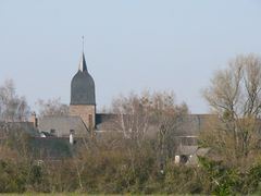 Gené