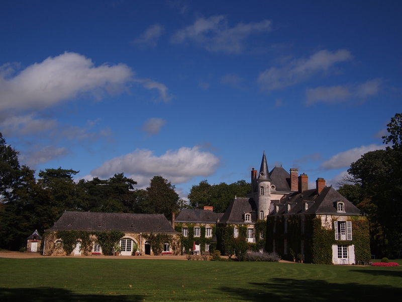Fichier:Jailleyvon chateau plessis anjou 2011a.jpg