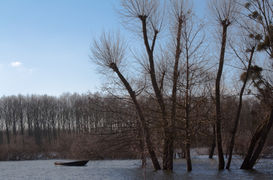 La Sarthe en crue à Écouflant