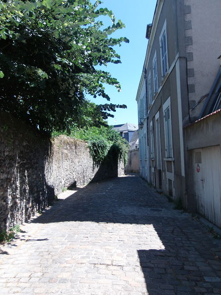 Fichier:Angers rue Duvetre -2015a.jpg
