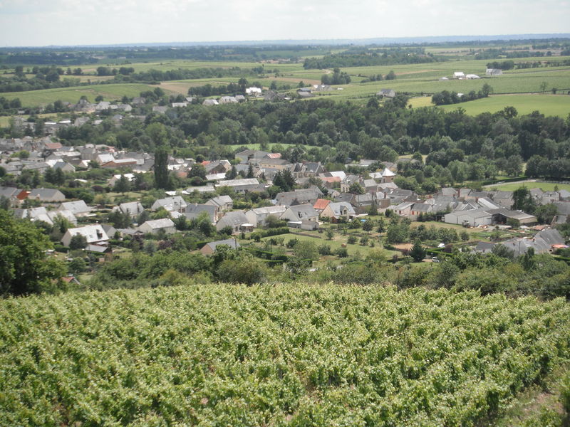 Fichier:Saintaubindeluigne vue du moulin guerin-2012b.jpg
