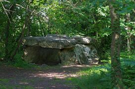 Dolmen de la Motte