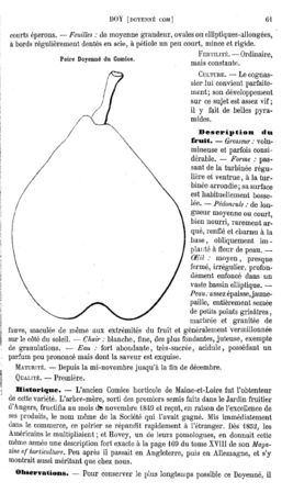 Page 61.