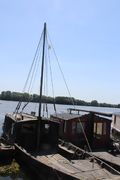 La possonnière bords de loire 2021-9407.JPG