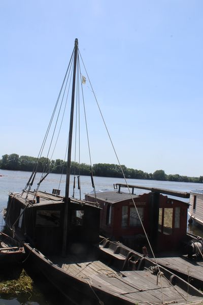Fichier:La possonnière bords de loire 2021-9407.JPG