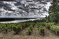 Vignette pour la version du 25 mai 2013 à 05:54