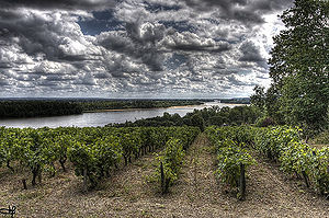 Photographie d'un paysage du côté du Thoureil.