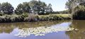 Layon saintaubin r20-58.jpg