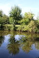 Layon saintaubindeluigne - 2017 2386.jpg