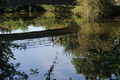 Layon saintaubindeluigne - 2017 2391.jpg