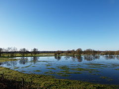 Innondation de la vallée à Saint-Georges