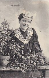 Coiffe angevine carte epostale.jpg
