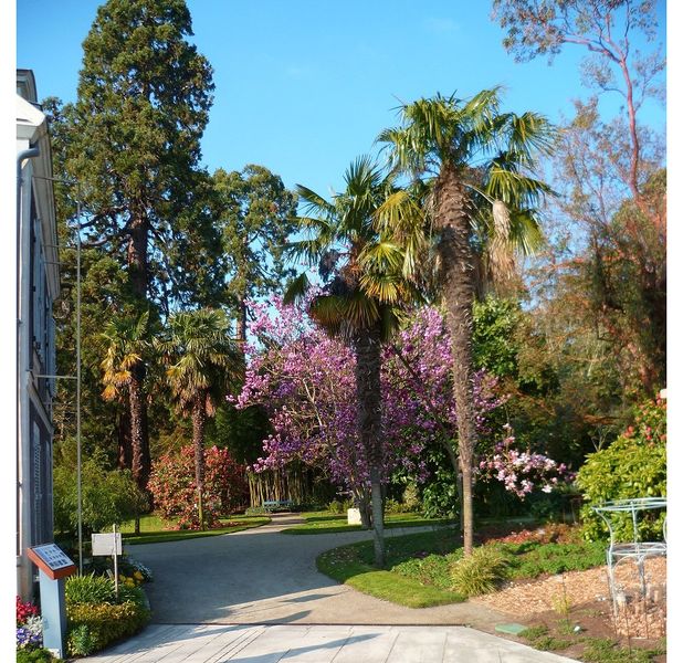 Fichier:Arboretum Gaston-Allard P100.jpg