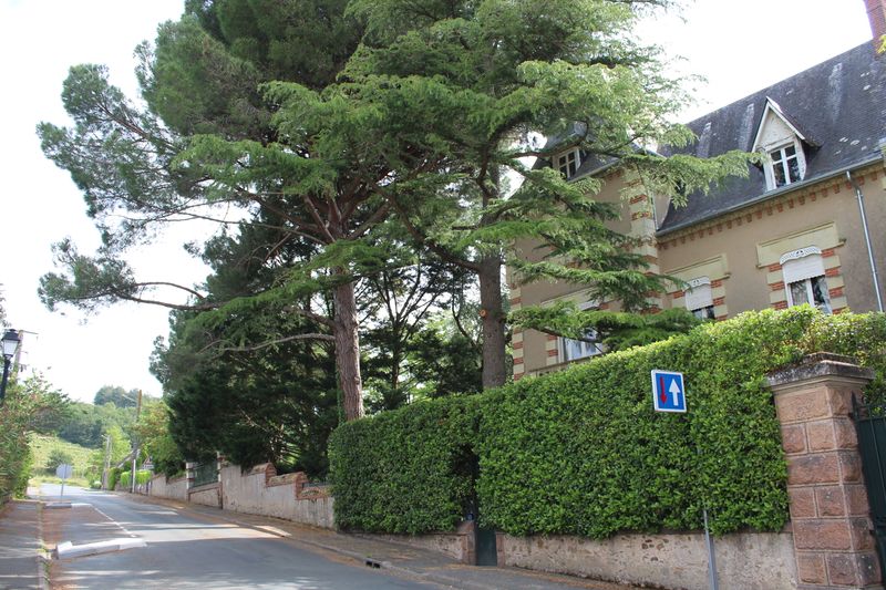 Fichier:Saintaubindeluigne 2019 5905.jpg