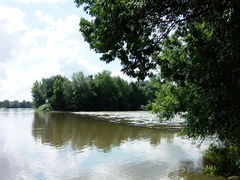 Nord de l'île de Béhuard