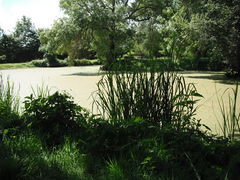 Bouzille boire ste catherine3 2012.jpg