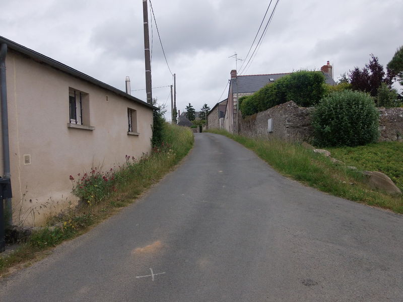 Fichier:Rochefortsurloire chaume-2015g.jpg